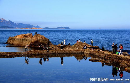碧海藍(lán)天 心靈的永恒回響